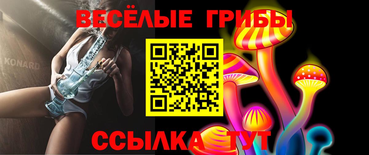 Псилоцибиновые грибы прущие грибы  Галлюциногенные грибы Psilocybe  Гуково  Вход с VPN 